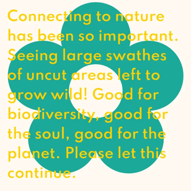 Connecting to nature has been so important. Seeing large swathes of uncut areas left to grow wild! Good for biodiversity, good for the soul, good for the planet. Please let this continue. 