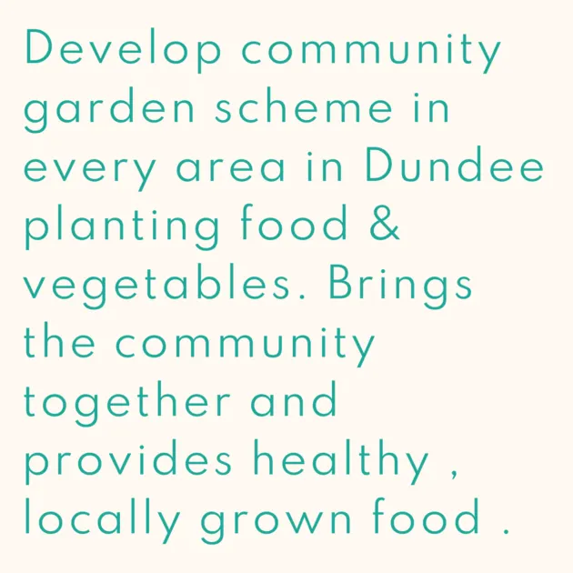 Develop community garden scheme in every area in Dundee planting food & vegetables. Brings the community together and provides healthy , locally grown food .
