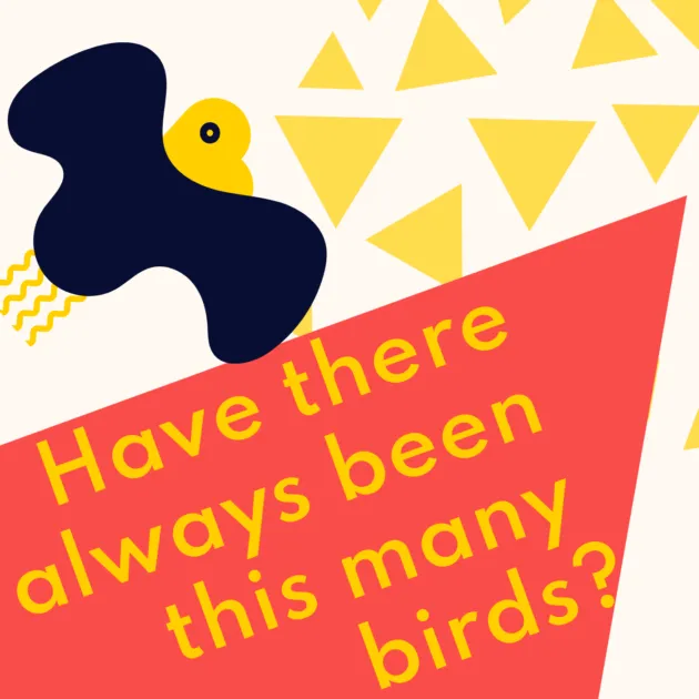 Have there always been this many birds?
