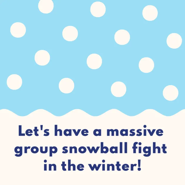 Let's have a massive group snowball fight in the winter!