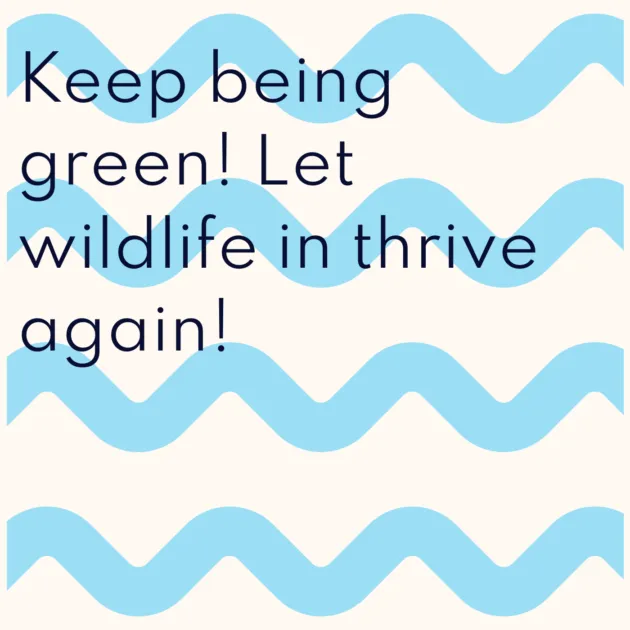 Keep being green! Let wildlife in thrive again!