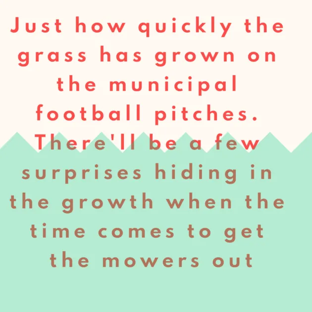Just how quickly the grass has grown on the municipal football pitches. There'll be a few surprises hiding in the growth when the time comes to get the mowers out