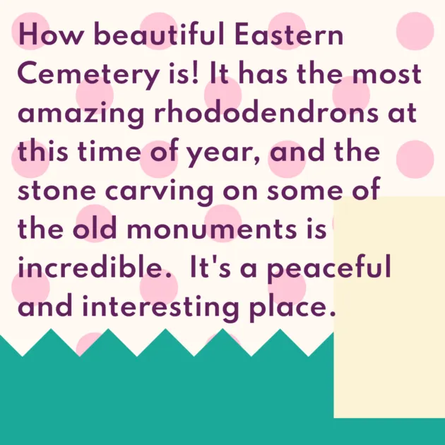 How beautiful Eastern Cemetery is! It has the most amazing rhododendrons at this time of year, and the stone carving on some of the old monuments is incredible. It's a peaceful and interesting place.