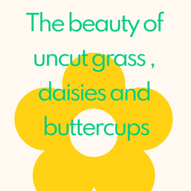 The beauty of uncut grass , daisies and buttercups