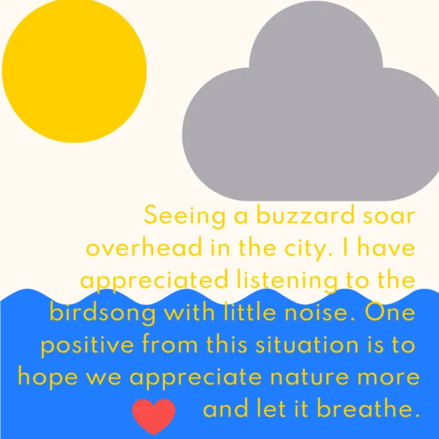  Seeing a buzzard soar overhead in the city. I have appreciated listening to the birdsong with little noise. One positive from this situation is to hope we appreciate nature more and let it breathe.
