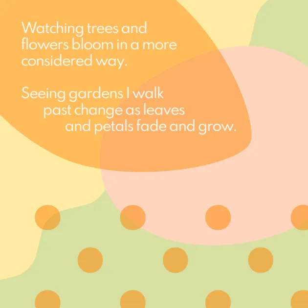 Watching trees and flowers bloom in a more considered way. Seeing gardens I walk past change as leaves and petals fade and grow.