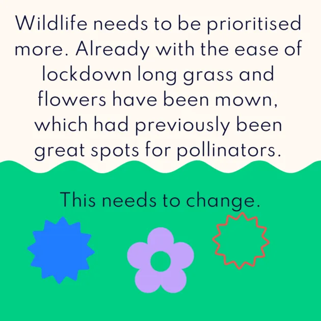 Wildlife needs to be prioritised more. Already with the ease of lockdown long grass and flowers have been mown, which had previously been great spots for pollinators. This needs to change.