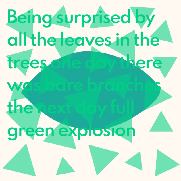 Being surprised by all the leaves in the trees one day there was bare branches the next day full green explosion