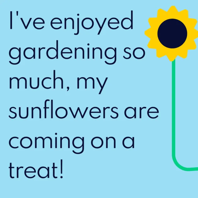 I've enjoyed gardening so much, my sunflowers are coming on a treat!
