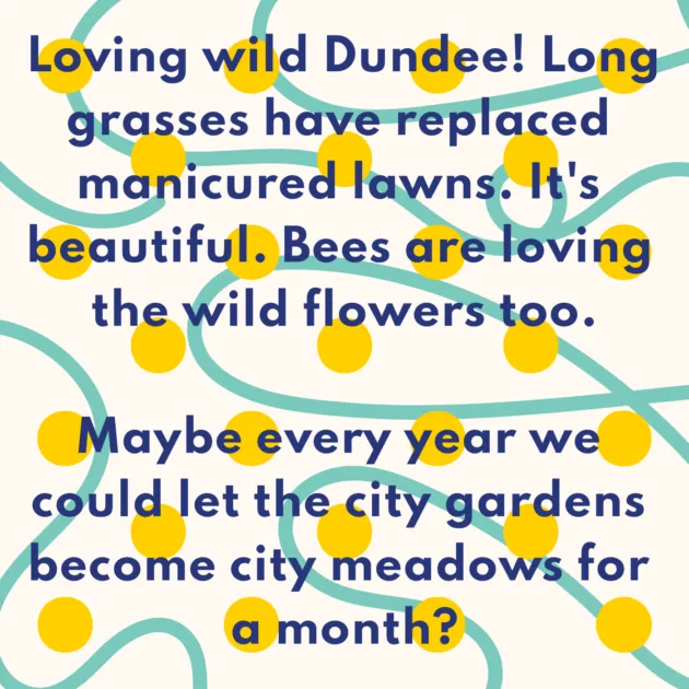 Loving wild Dundee! Long grasses have replaced manicured lawns. It's beautiful. Bees are loving the wild flowers too. Maybe every year we could let the city gardens become city meadows for a month?