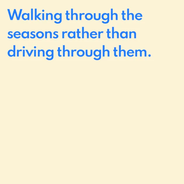 Walking through the seasons rather than driving through them. 