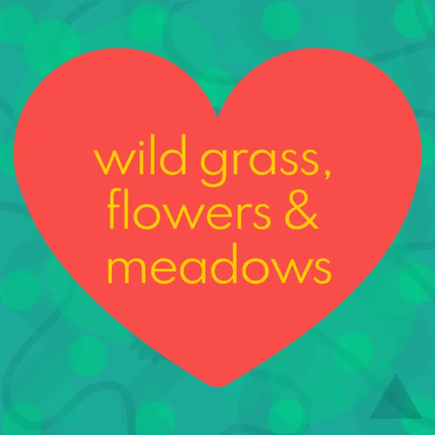 wild grass, flowers & meadows