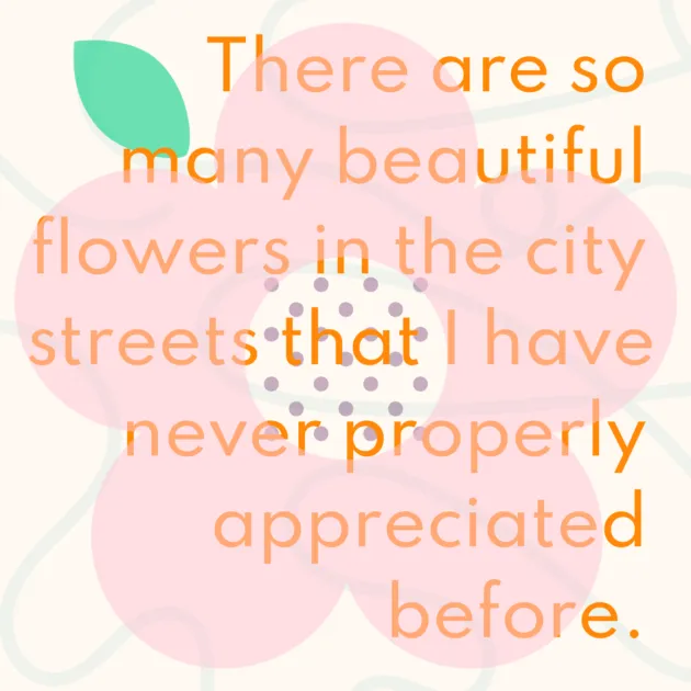 There are so many beautiful flowers in the city streets that I have never properly appreciated before. 