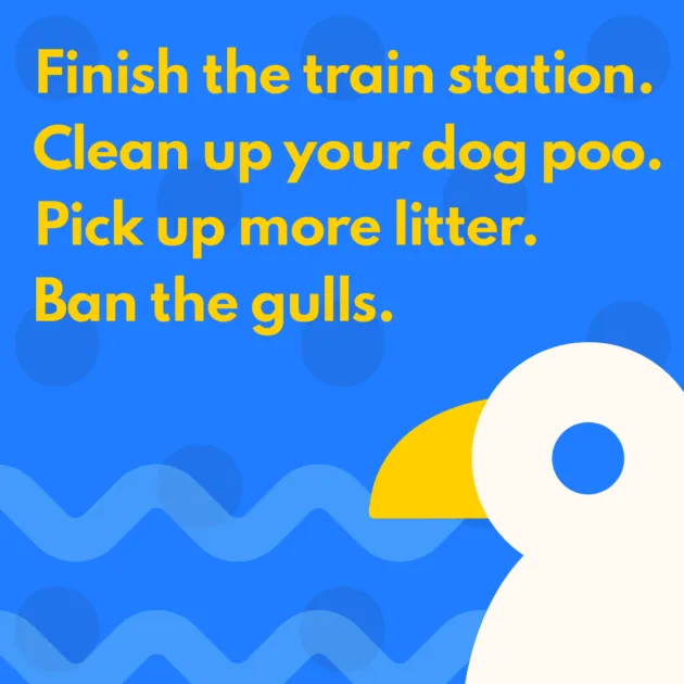 Finish the train station. Clean up your dog poo. Pick up more litter. Ban the gulls.