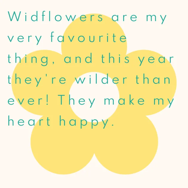 Widflowers are my very favourite thing, and this year they're wilder than ever! They make my heart happy.