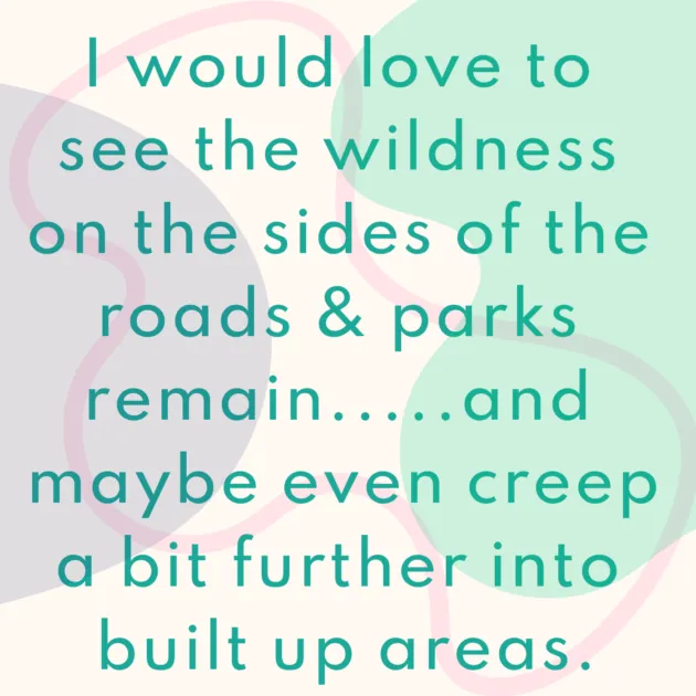 I would love to see the wildness on the sides of the roads & parks remain.....and maybe even creep a bit further into built up areas.