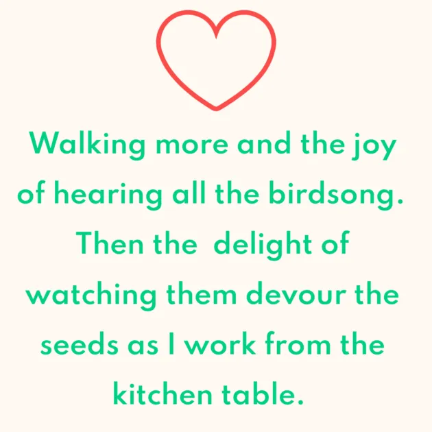 Walking more and the joy of hearing all the birdsong. Then the delight of watching them devour the seeds as I work from the kitchen table. 