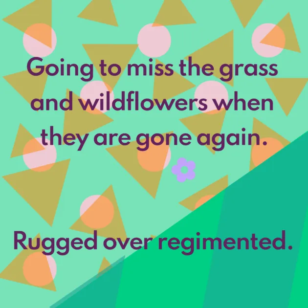 Going to miss the grass and wildflowers when they are gone again. Rugged over regimented. 