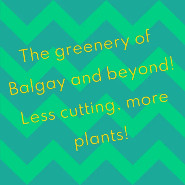 The greenery of Balgay and beyond! Less cutting, more plants!
